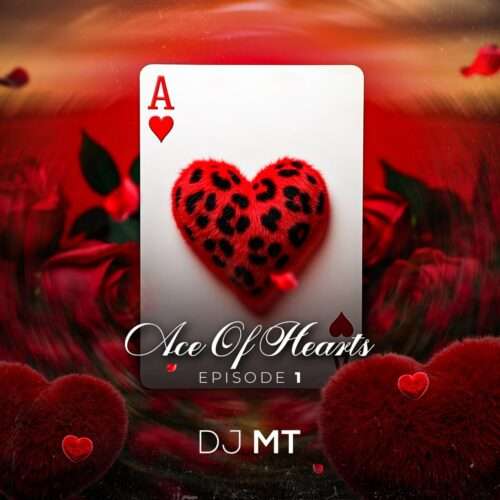 دانلود آهنگ دی جی ام تی به نام Ace of Hearts 1